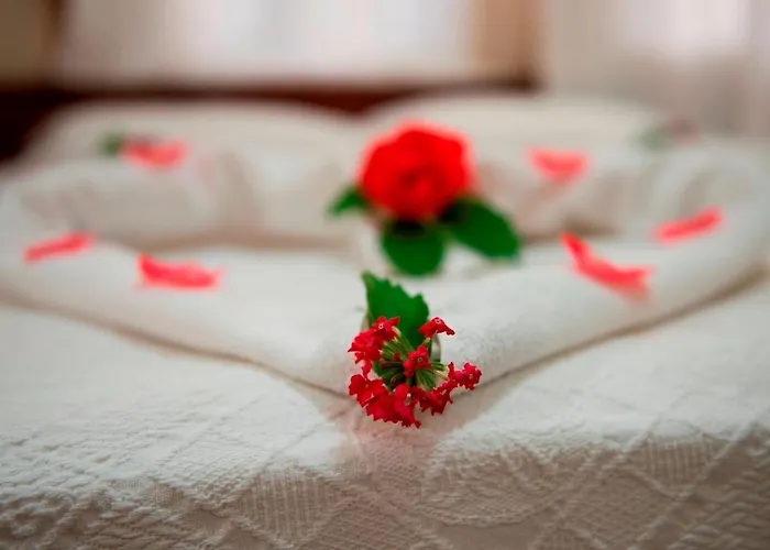 Отель Han Dalyan Hotel 3*