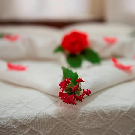 Hotel Han Dalyan Hotel 3*