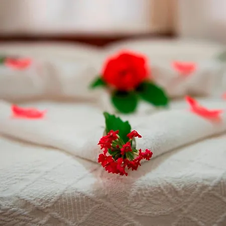 Hotel Han Dalyan Hotel 3*