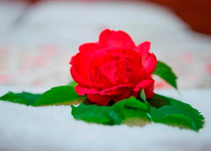 汉达利安酒店 3*